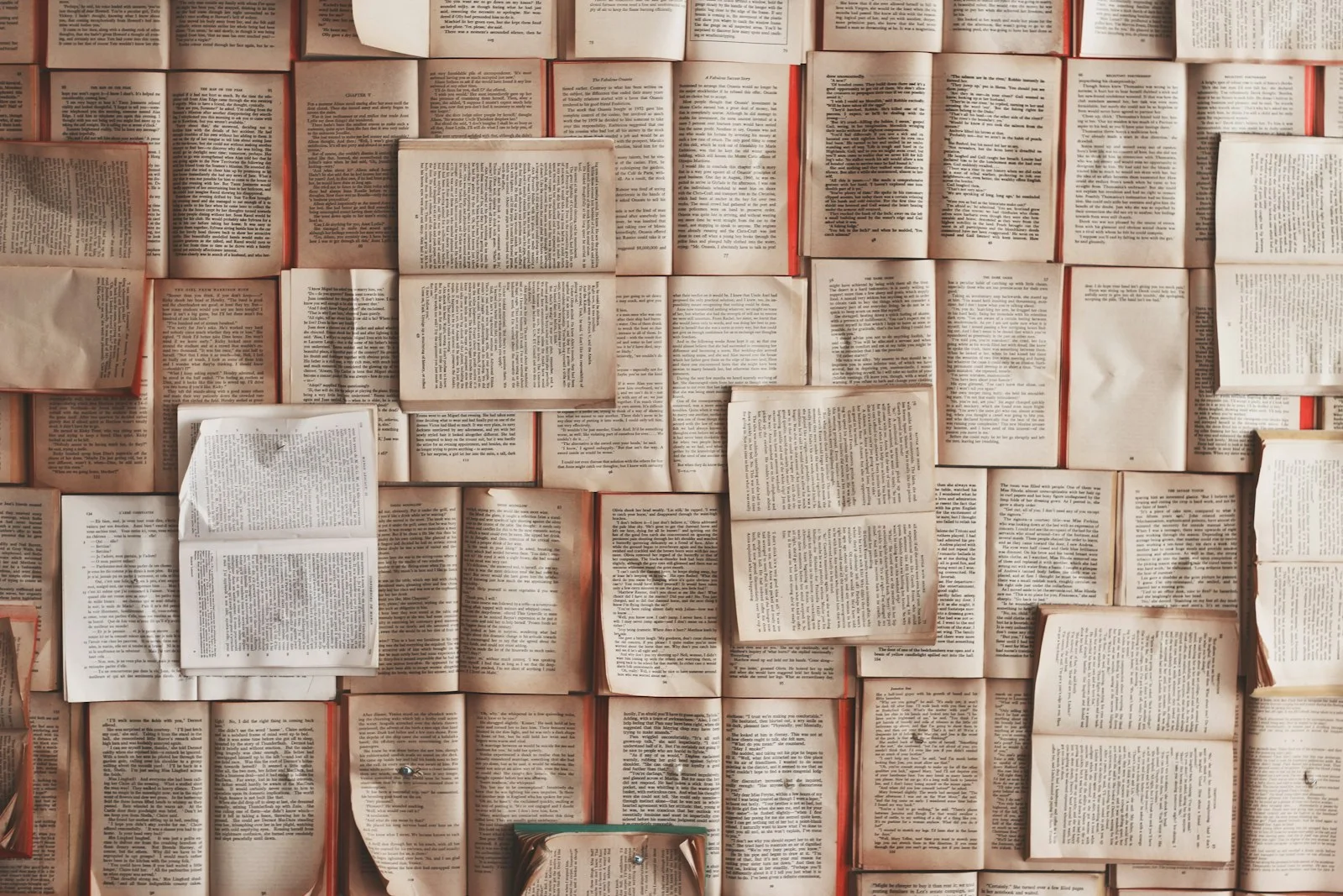 Person reading a book in a cozy setting, complementing the Attached book overview